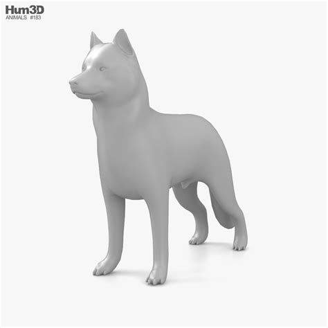 Siberian Husky Low Poly Rigged 3d Modell Tiere On Hum3d