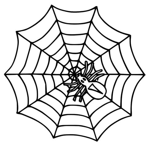 Desenhos De Aranha E Teia De Aranha Para Colorir E Imprimir