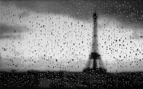 Rainy Paris wallpaper | animals | Wallpaper Better