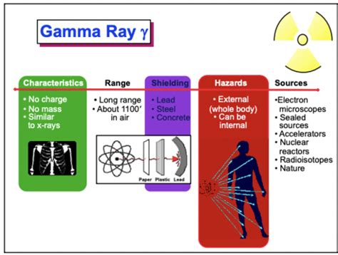 Intro To Radiation Flashcards Quizlet