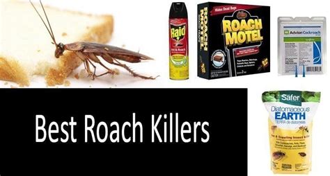 Best Roach Killers 2022 Roach Poison Roach Traps Roach Spray