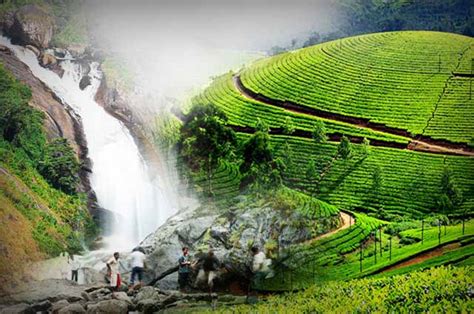 The Attractions Of Munnar 2024 Kerala Tourism Places To Visit In Munnar Travel Guide Rainy