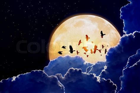 Full Moon Ravens Stock Image Colourbox