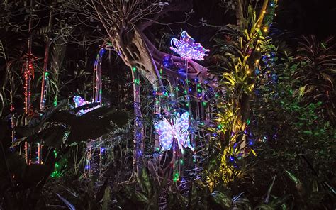 Parque De Luces De Navidad En Miami Gu A Completa Para Disfrutar La