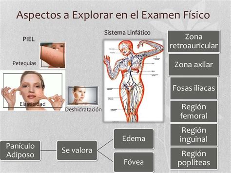 Examen Físico General