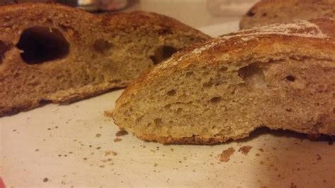 My First Pair Of Bricks Dense Sourdough Loaves The Fresh Loaf