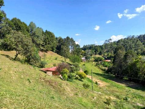 Casa Finca Para La Venta Guarne Vereda El Salado Cop