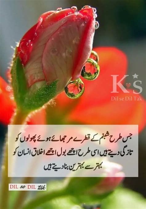 shehnaz shaikh adlı kullanıcının Hindi good morning quotes panosundaki Pin