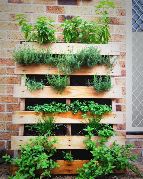 Potager Vertical Id Es Diy Et Astuces Pratiques Pour Cultiver En Hauteur