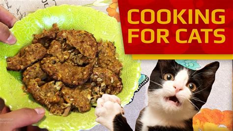 Cooking For Cats How To Make Cookies For Cats And Kittens Quick And