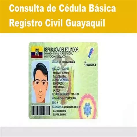 Consulta C Dula B Sica Registro Civil Guayaquil