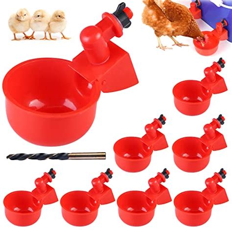 Abreuvoir Poule Quel Abreuvoir Choisir Pour Vos Poules Avis Comparatif