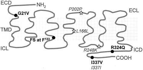 agtr mutations   linked mental retardation science