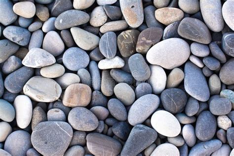 Background With Round Pebble Stones Stones Beach Smooth Flat Lay