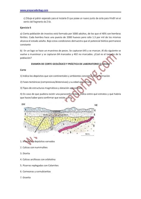 Oposiciones De Biolog A Y Geolog A Preparadorbyg Examen