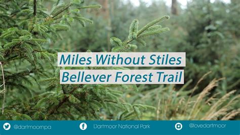 Miles Without Stiles Bellever Forest Trail YouTube