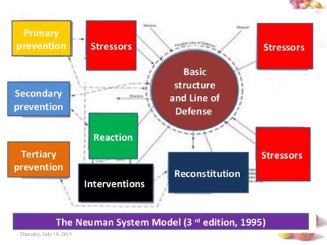 Betty Neuman Systems Model Theory - Melissa-has-Mercado