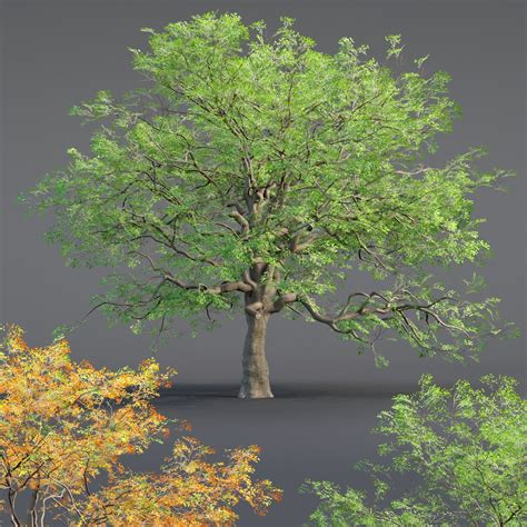 Low Poly Oak Tree Vol 54 3dmodel Model Turbosquid 2243302