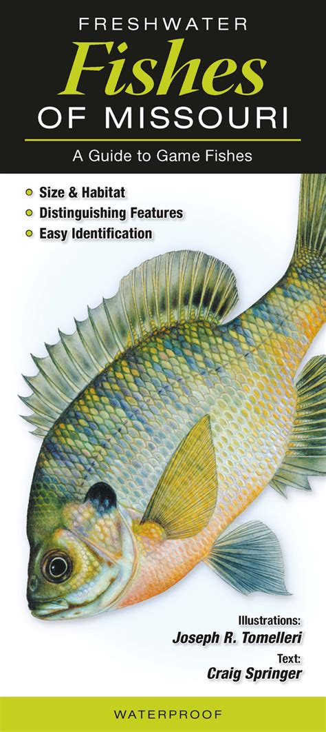 Freshwater Fishes Of Missouri Quick Reference Publishing