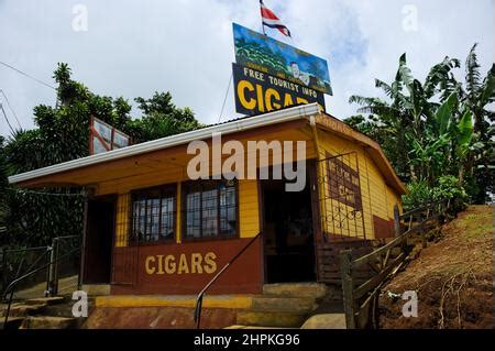 Cigars Factory Republic Of Costa Rica Central America Stock Photo Alamy