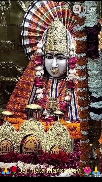 09052023🌺 Mata Mansa Devi Ji K Live Dharshan 🙏🌹🥥 Jai Mata Di 🌺💐🙏 Youtube