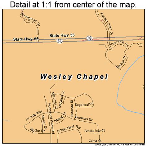 Wesley Chapel Florida Street Map 1275875