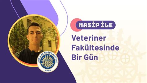 Veteriner Fak Ltesinde Bir G N Vlog Youtube