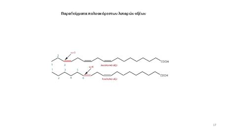 LIPID MAPS Nature Lipidomics Gateway http www lipidmaps