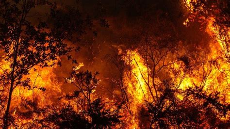 Texas Wildfire Becomes Second Largest Fire In Us History Bbc Newsround