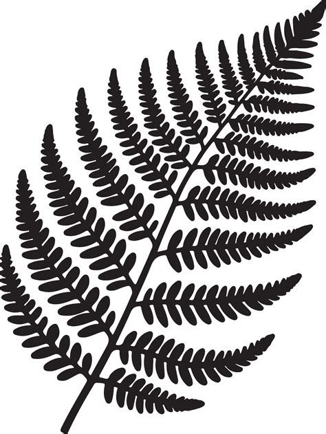 Fern leaf, Silhouette Stock, black color silhouette 46458352 Vector Art ...