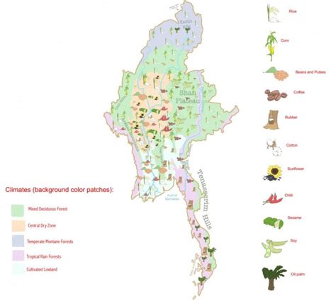 Myanmar agriculture 101 | Frontier Myanmar