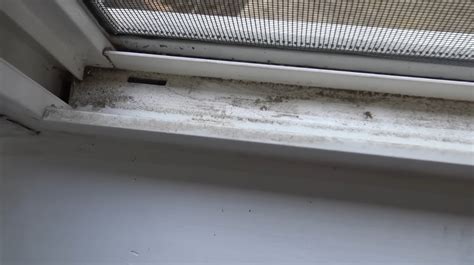 how to get a shower door clean