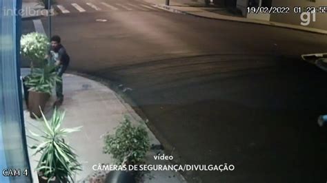 Vídeo Polícia Civil investiga ato de vandalismo em vasos de