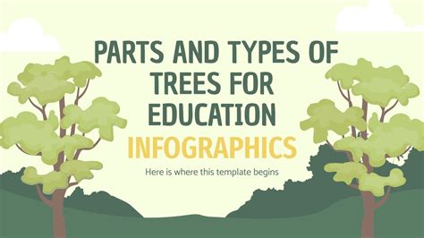 Parts And Types Of Trees For Education Infographics