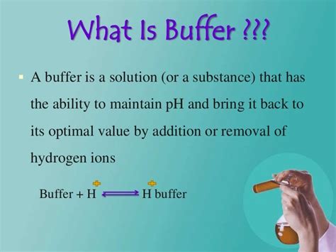 Define Definition Of Buffer Capacity - Robert Romero Coiffure