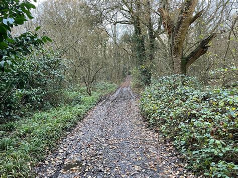 Track Footpath Entering Hurst Copse Mr Ignavy Cc By Sa 2 0