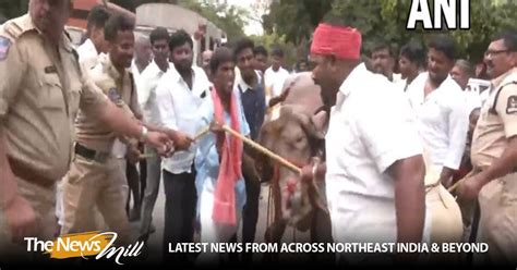 Members Of Yadav Community Stage Protest In Hyderabad Against Tpcc