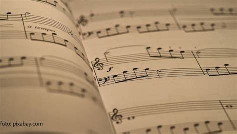 teste muzica clopotelro