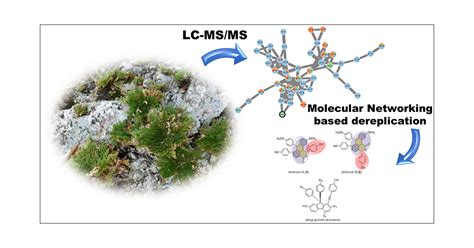 Molecular Networking Reveals The Chemical Diversity Of Selaginellin