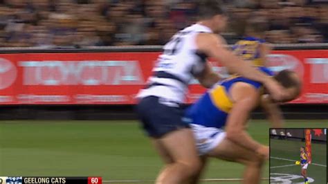 Afl 2019 Tom Hawkins Suspension Will Schofield Geelong V West Coast