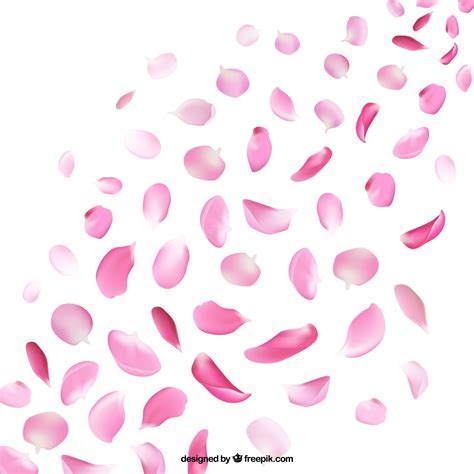 Cherry Blossom Petal Vector