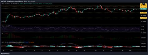 Chainlink Solana Neo Price Analysis 03 September Ambcrypto