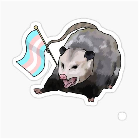 Trans Flag Possum Sticker For Sale By Honeycrisp402 Redbubble