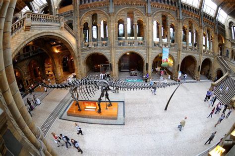 The Brontosaurus Skeleton The Hub Of The Museum Editorial Photo