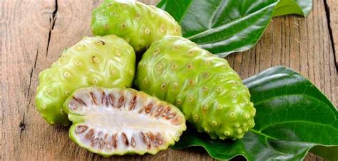 Health Benefits Of Noni Juice