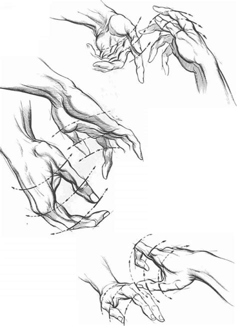 Proportions And Measurements - Drawing Hands - Joshua Nava Arts | Giải ...