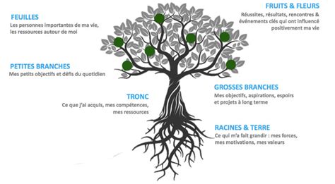 Arbre De Vie Origine Symbole Et Signification Jewelssimo