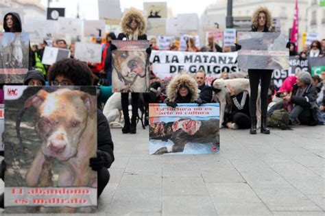 Miles De Personas Se Manifiestan Contra El Maltrato Y La Matanza De