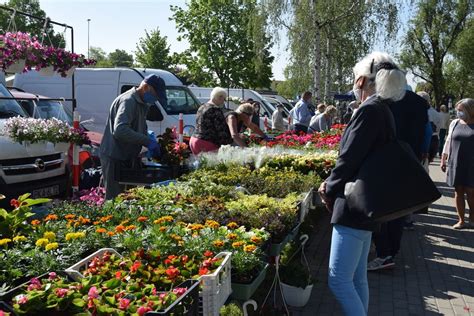 Ryneczek Na Osiedlu Dobrzec W Sobot Zn W T Tni Yciem Zdj Cia