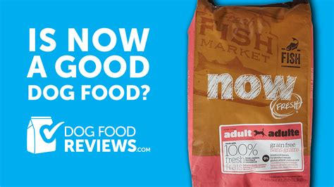 NOW Fresh Dog Food Reviews - DogFoodReviews.com